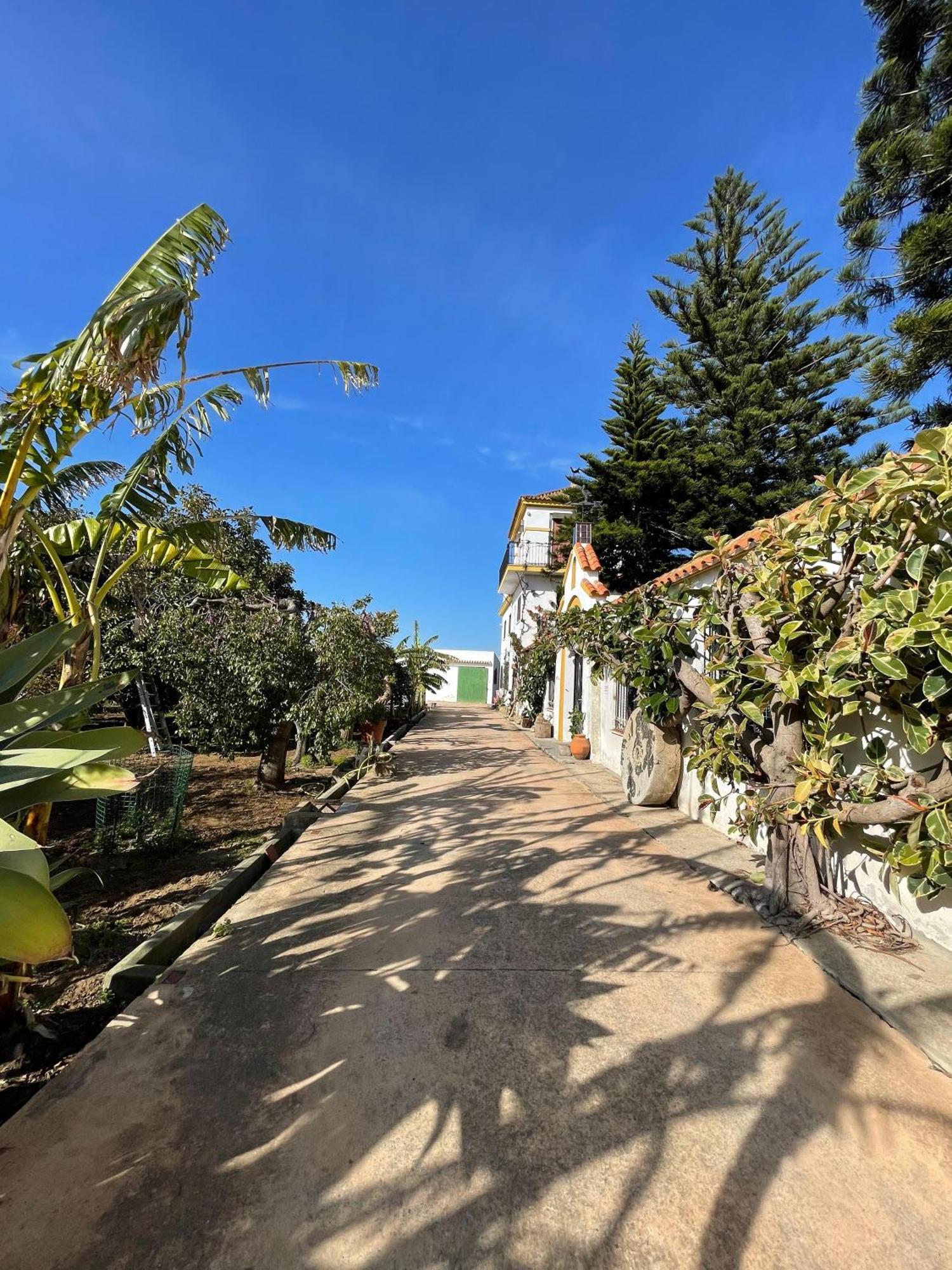 Finca La Tacita - Petunia Conil De La Frontera Exteriör bild